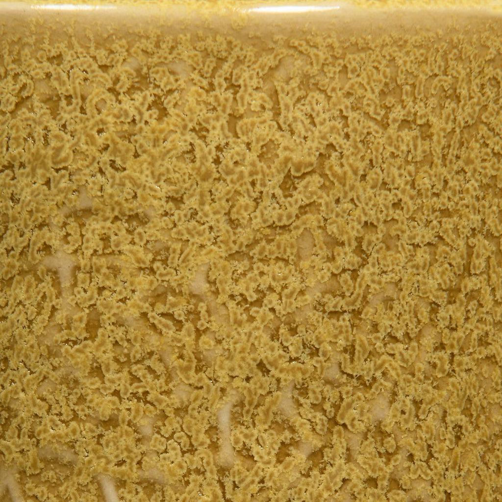 Speedball Mid-Fire Coriander