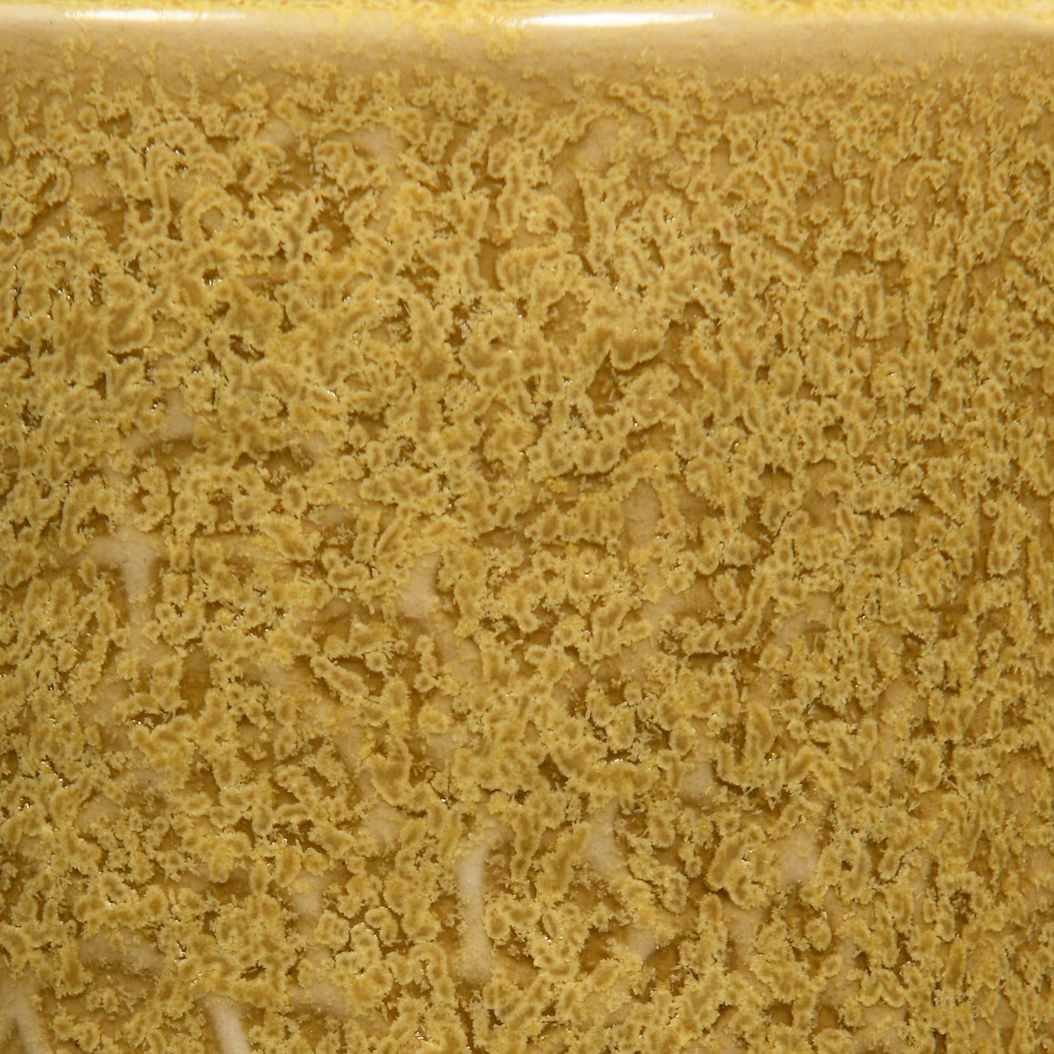 Speedball Mid-Fire Coriander