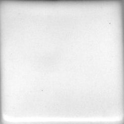 Coyote Satin White Liner Pint MBG182