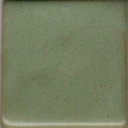 Coyote Deep Avocado Pint MBG183