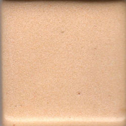 Coyote Apricot Pint MBG187