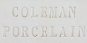 Aardvark's Coleman's Porcelain: 25 lb Bag of Moist Clay