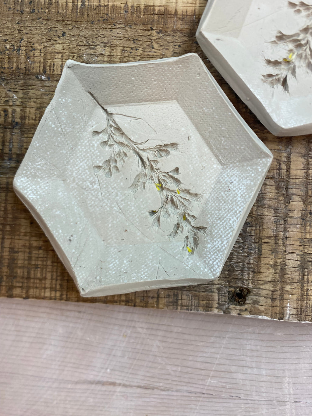 Leaf Trays
