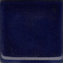 CoyoteCobalt Blue Pint MBG008