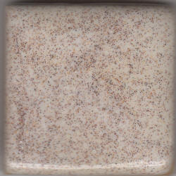 Coyote Oatmeal Pint MBG048