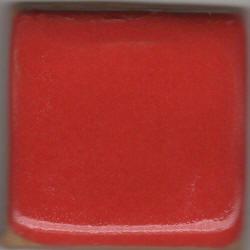 Coyote Really Red Pint MBG071