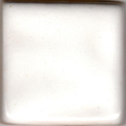 Coyote White Pint MBG023