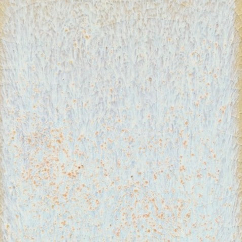 Coyote Star Dust Pint MBG222 Fantasy