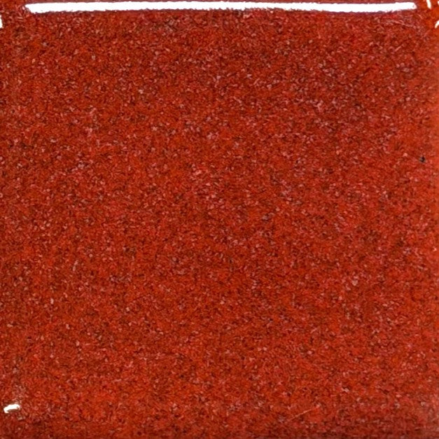 Coyote Burning Embers Pint MBG230 Fantasy