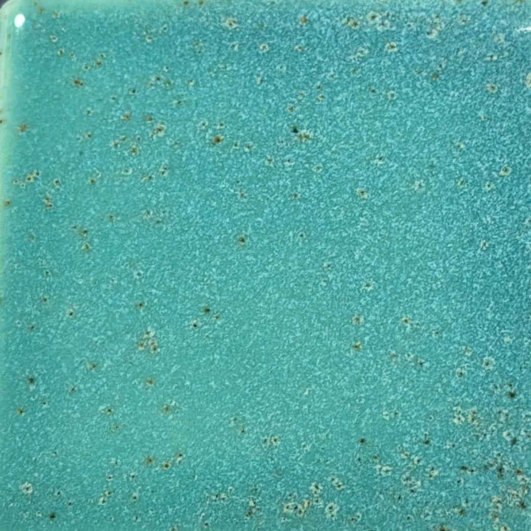 Coyote Mermaid Cove Pint MBG225 Fantasy
