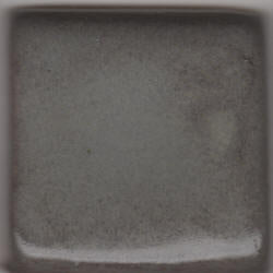 Coyote Steel Gray Shino Pint MBG096