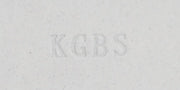 Aardvark's KGBS: 25 lb Bag of Moist Clay