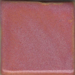 Coyote Fire Opal Pint MBG012