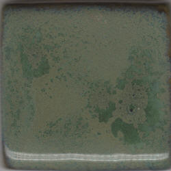 Coyote Pam's Green Pint MBG038