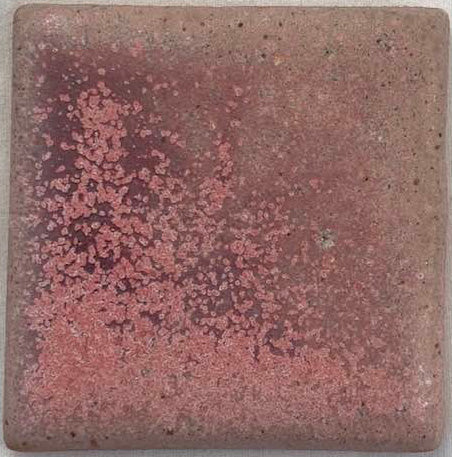 Coyote Magenta Sky Pint MBG241