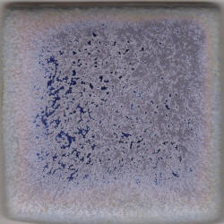 Coyote Blue Purple Pint MBG028