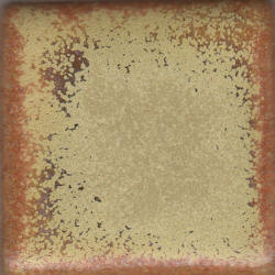 Coyote Red Gold Pint MBG031