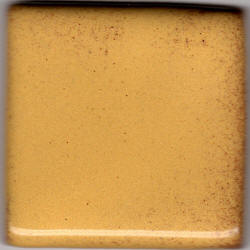 Coyote Goldenrod Shino Pint MBG088