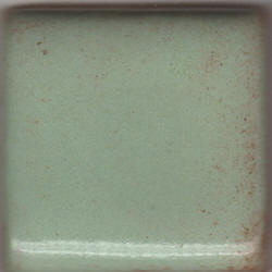Coyote Pistachio Shino Pint MBG093