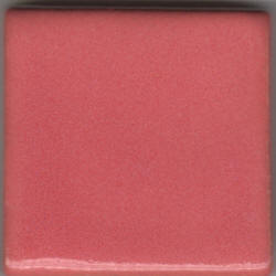 Coyote Texas Rose Pint MBG152