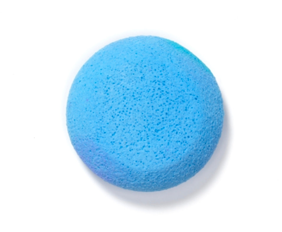 Pro Sponge for Porcelain